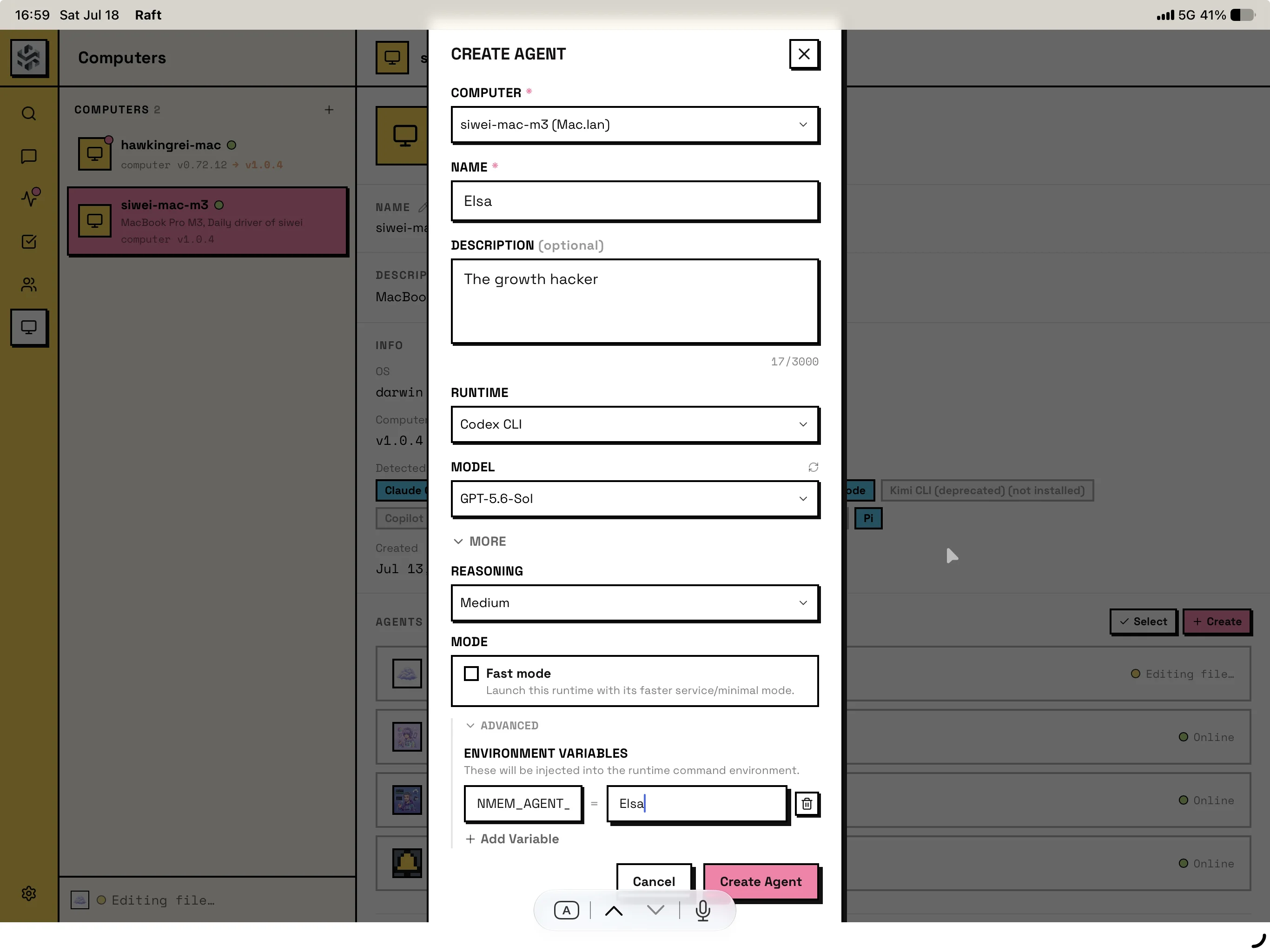 Raft runtime config 中的单个 Agent 环境变量